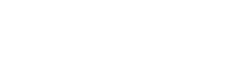 Logo Strimly